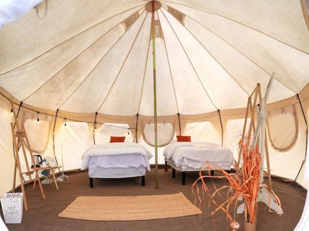 Safari Desert Camp Shāhiq Eksteriør billede