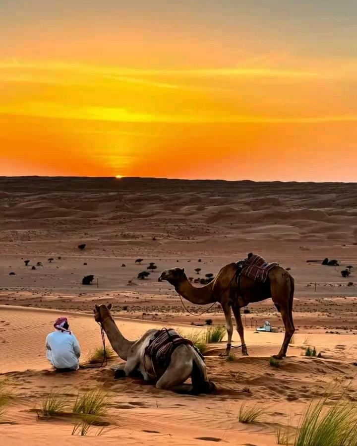 Safari Desert Camp Shāhiq Eksteriør billede